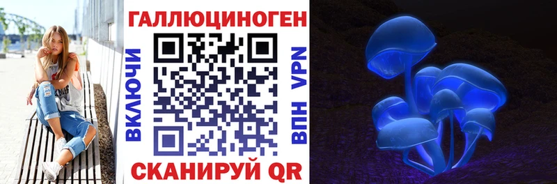 Галлюциногенные грибы Psilocybine cubensis  Реутов 